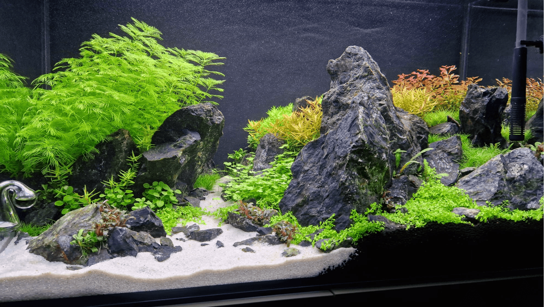 Aquascaping