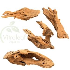 Kienhout (Driftwood) 12-20 cm