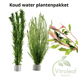 Koud water plantenpakket