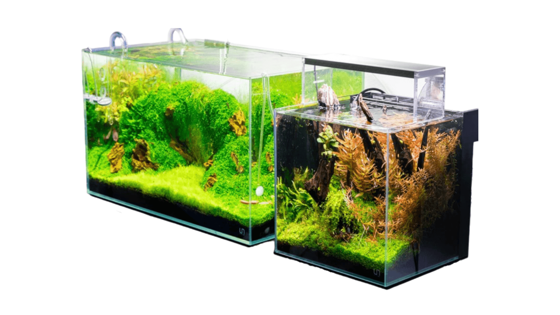 Aquarium